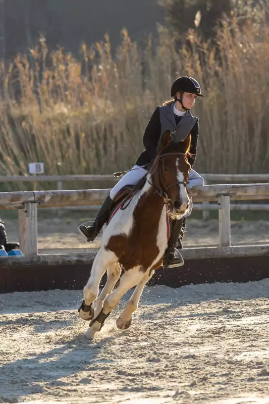 photographe cheval equitation cso d121 img 0322