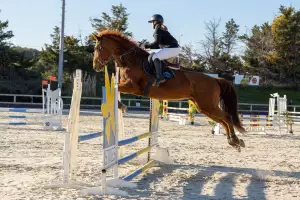 photographe cheval equitation cso istres le deven d121 img 0063