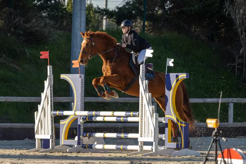 photographe cheval equitation cso istres le deven d121 img 0075