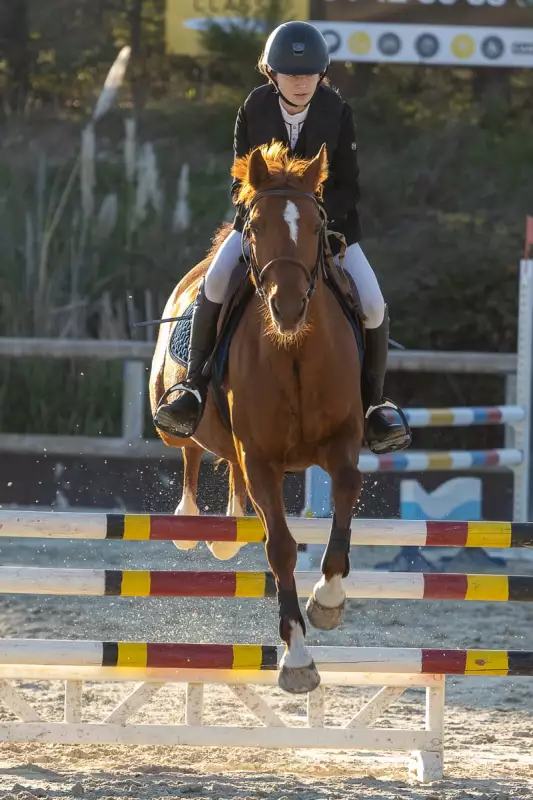 photographe cheval equitation cso istres le deven d121 img 0433