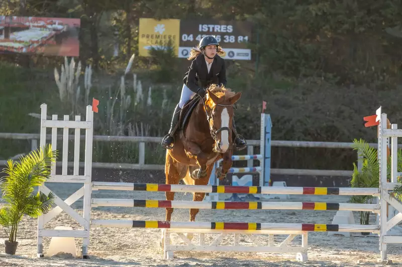 photographe cheval equitation cso istres le deven d121 img 0482