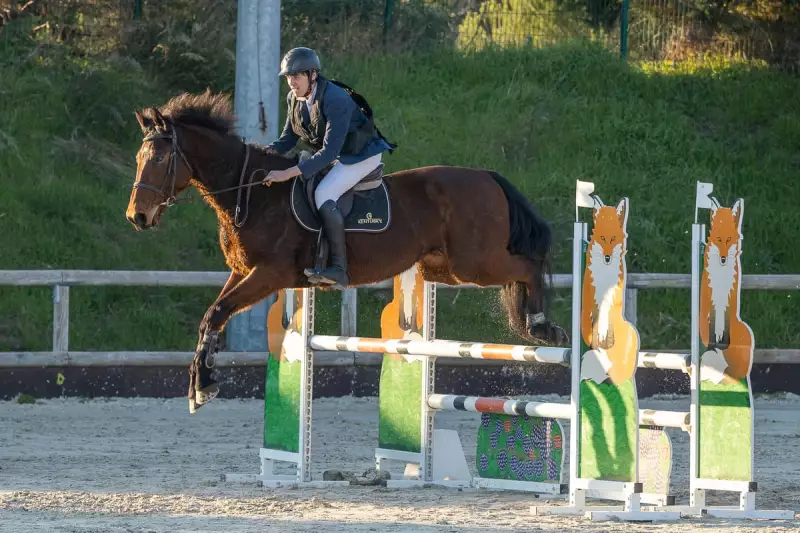 photographe cheval equitation cso istres le deven d121 img 0574