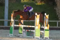 photographe cheval equitation cso istres le deven d121 img 0652