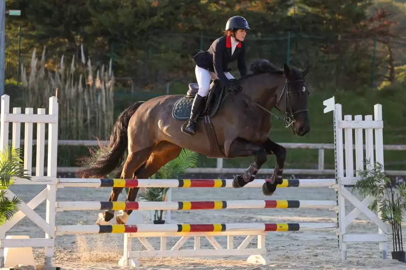 photographe cheval equitation cso istres le deven d121 img 0686