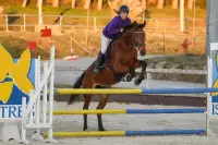 photographe cheval equitation cso istres le deven d121 img 0786