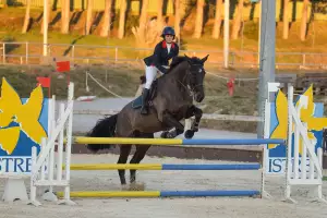 photographe cheval equitation cso istres le deven d121 img 0811