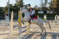 photographe cheval equitation cso le deven d121 img 0330