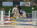 photographe cheval equitation cso le deven d121 img 0367