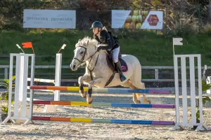 photographe cheval equitation cso le deven d121 img 0367