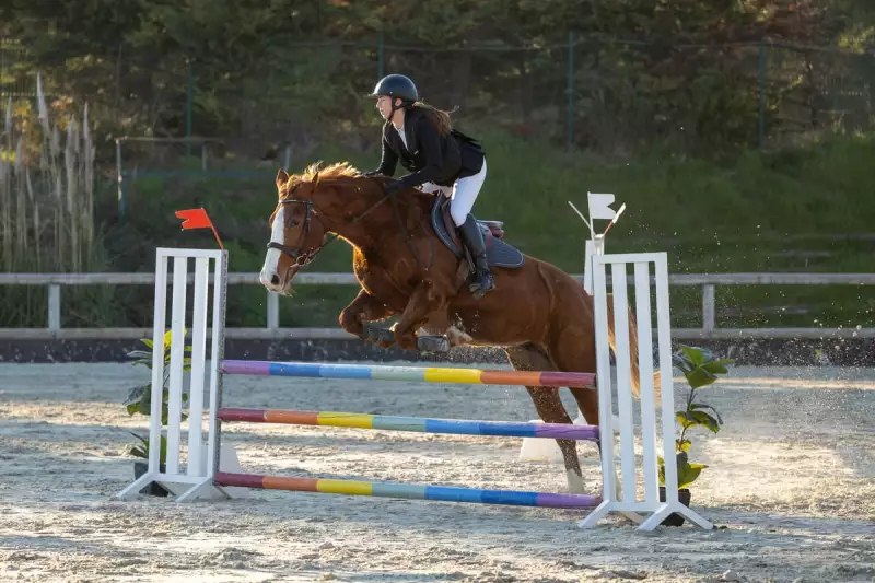 photographe cheval equitation cso le deven d121 img 0491