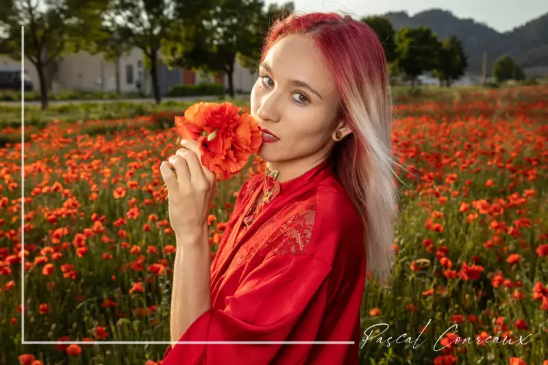 Photographe Shooting Femme champs de coquelicots à Aix en Provence Bouches du Rhône 13