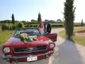 photographe mariage armenien le mas des aureliens arrivee voiture maries