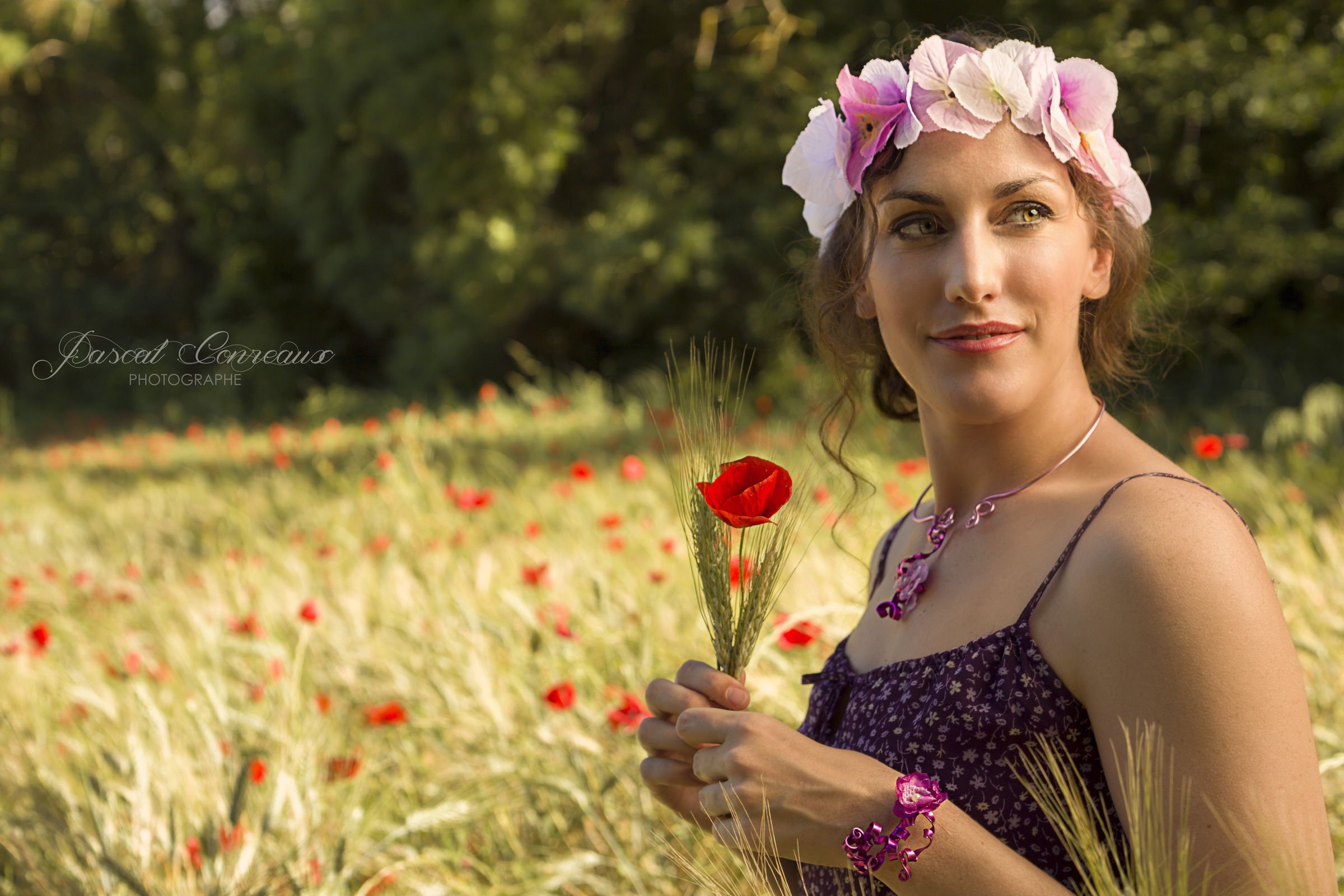 photos shooting extérieur dans un champ de coquelicots