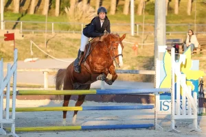 Shooting photos equestre