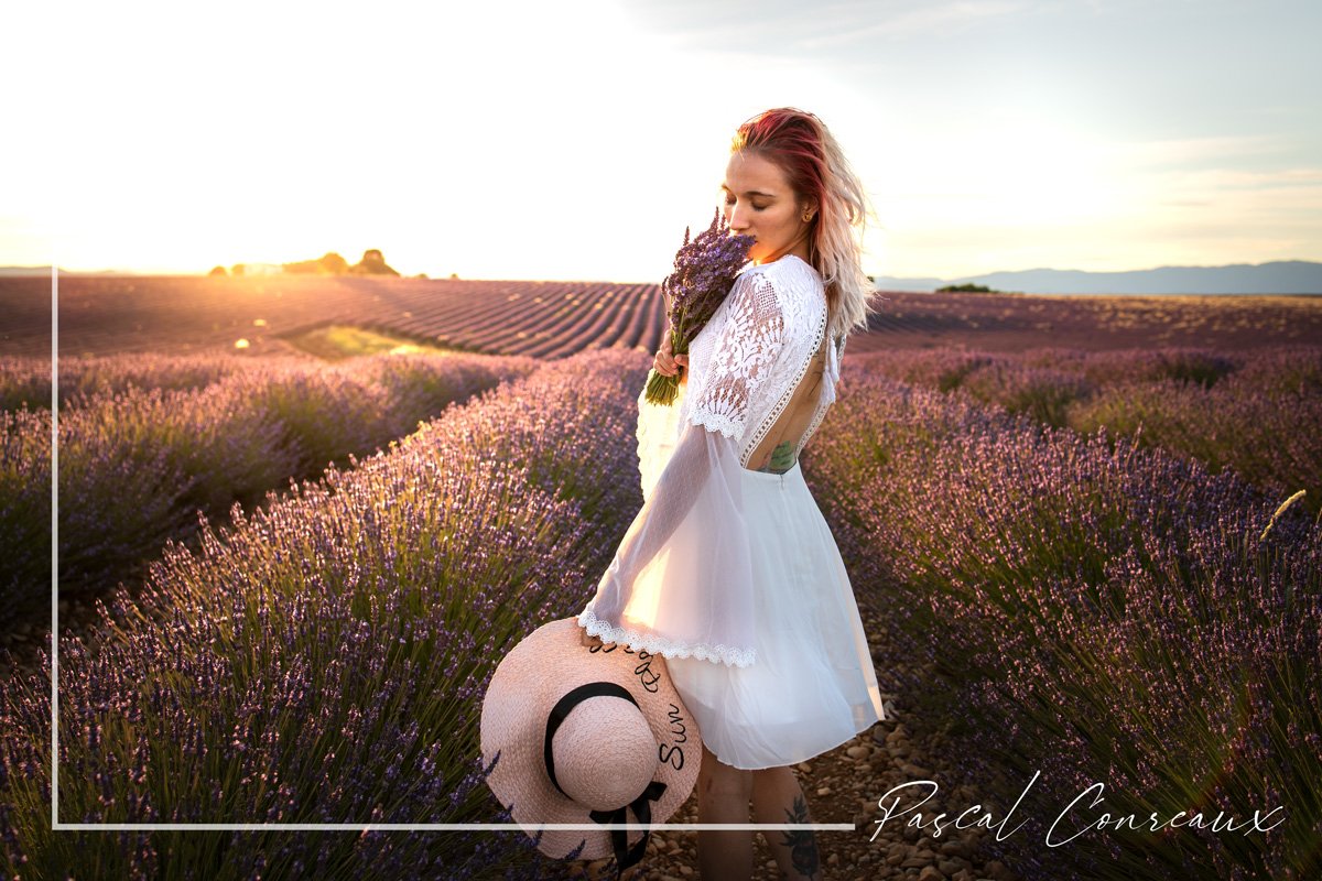 Photographe pour shooting photo dans les lavandes à Valensole