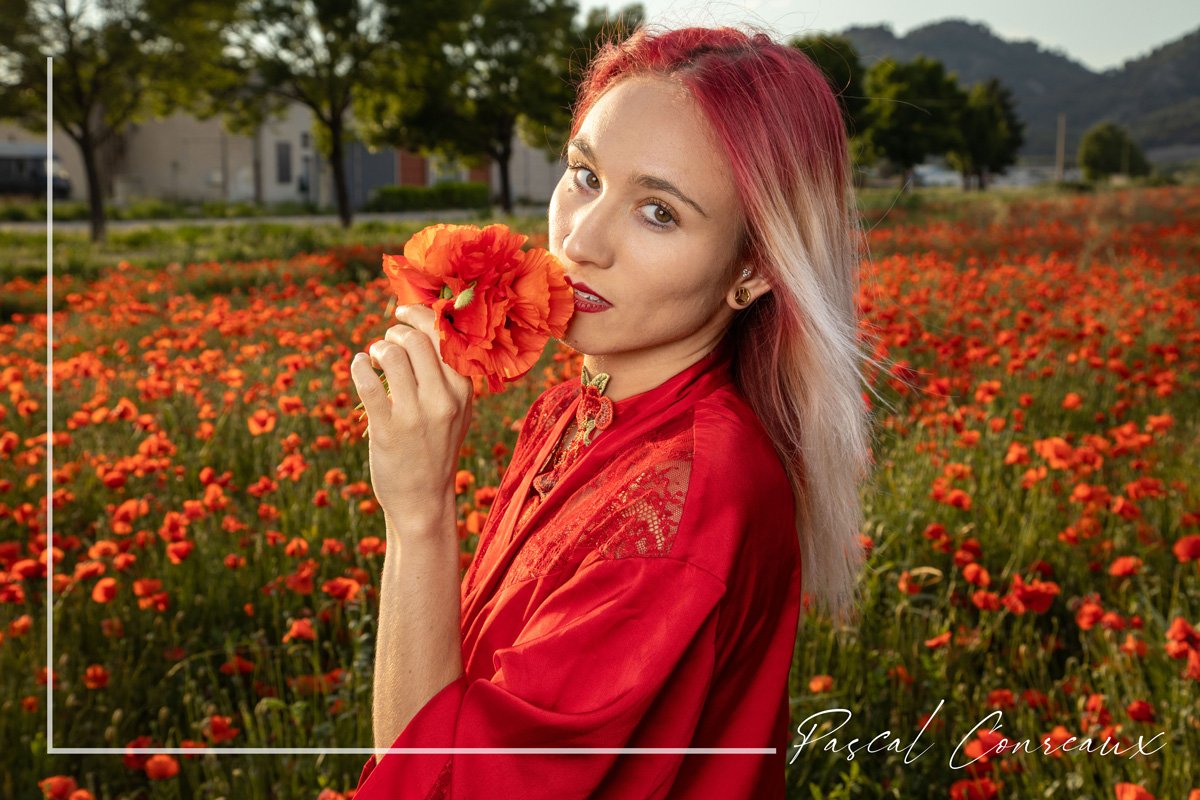 Shooting Pikawai dans les champs de coquelicots